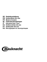 Bauknecht DBHBS 63 LL IX Руководство пользователя