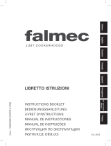 Falmec CAPPE E-ION Руководство пользователя