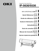 OKI OKI ColorPainter E-64s Справочное руководство