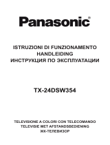Panasonic TX24DSW354 Инструкция по эксплуатации