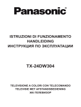 Panasonic TX24DW304 Инструкция по эксплуатации
