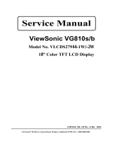 ViewSonic VG810S Руководство пользователя