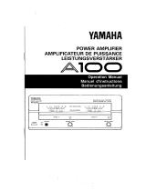 Yamaha A100 Руководство пользователя