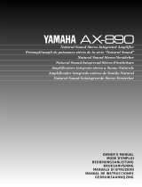 Yamaha AX-890 Руководство пользователя