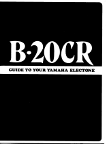Yamaha B-20CR Инструкция по применению