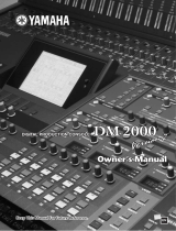Yamaha DM2000 Руководство пользователя