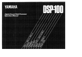 Yamaha DSP-100 Инструкция по применению