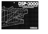 Yamaha DSP-3000 Инструкция по применению