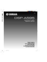 Yamaha DSP-A595 Руководство пользователя