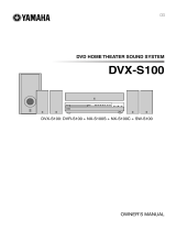 Yamaha AVXS100 Руководство пользователя
