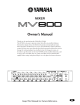 Yamaha MV800 Руководство пользователя