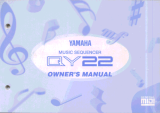 Yamaha QY22 Руководство пользователя
