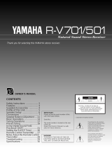Yamaha R-V501 Руководство пользователя