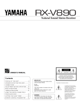 Yamaha RX-V890 Руководство пользователя