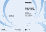 Yamaha TSX-B15 BEIGE Руководство пользователя