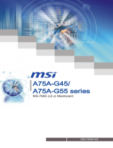 MSI A75A-G55 Руководство пользователя