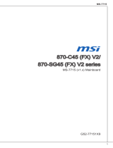 MSI 870-C45 (FX) V2 Руководство пользователя