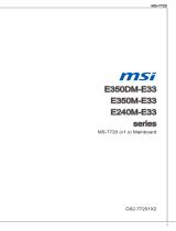 MSI E350DM-E33 Руководство пользователя