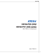 MSI H61M-P20/W8 Руководство пользователя