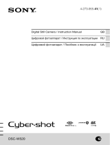 Sony Cyber-shot DSC-W520 Black Руководство пользователя