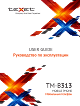 TEXET TM-B313 Руководство пользователя