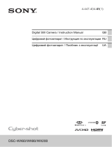 Sony Cyber-shot DSC-WX200 Siver Руководство пользователя