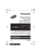 Panasonic DMWBGG1PP Инструкция по применению