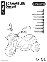 Ducati IGED0920 Руководство пользователя