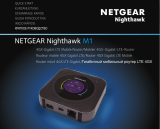 Netgear MR1100100NAS Руководство пользователя