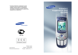 Samsung SGH-E820P Руководство пользователя