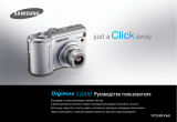 Samsung DIGIMAX S1000 Silver Руководство пользователя