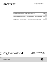 Sony Cyber-shot DSC-H90 Black Руководство пользователя