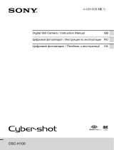 Sony Cyber-shot DSC-H100 Black + SD card 8GB Руководство пользователя