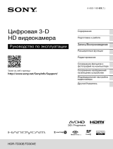 Sony HDR-TD30VE Руководство пользователя