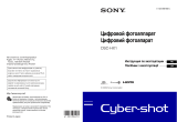 Sony DSC-HX1 Руководство пользователя