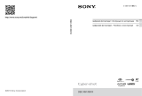 Sony DSC-RX1 Руководство пользователя