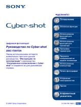 Sony DSC-T20HDPR Руководство пользователя
