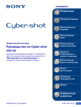 Sony DSC-N2 Руководство пользователя