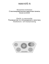 AEG 96901KFE-NBIGCORN Руководство пользователя