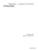 Electrolux EHM60020I Руководство пользователя