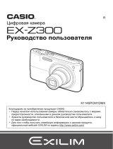 Casio EX-Z300 Руководство пользователя