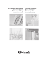 Bauknecht CTAI 9640FS IN Руководство пользователя