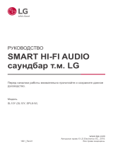 LG SL10Y Руководство пользователя