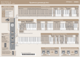 Roland Kiyola Инструкция по применению