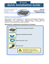 D-Link DIR-100RU Руководство пользователя