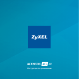 ZyXEL Keenetic 4G III (Rev.B) Руководство пользователя