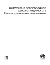 Huawei B315s-22 Black Руководство пользователя