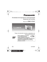 Panasonic DMC-FS37EE-R Руководство пользователя