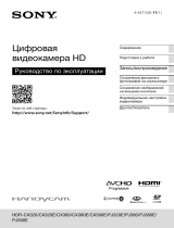 Sony HDR-CX320E Руководство пользователя