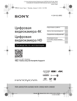 Sony HDR-CX900 Руководство пользователя